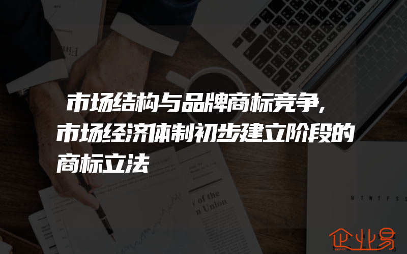 市场结构与品牌商标竞争,市场经济体制初步建立阶段的商标立法