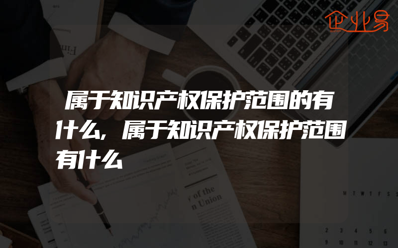 属于知识产权保护范围的有什么,属于知识产权保护范围有什么