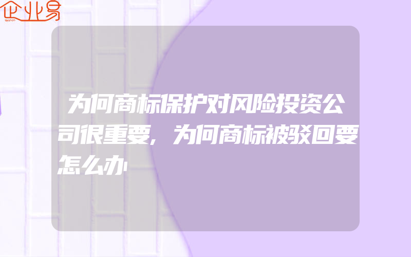 为何商标保护对风险投资公司很重要,为何商标被驳回要怎么办