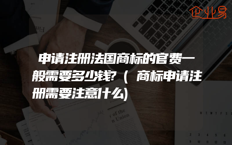 申请注册法国商标的官费一般需要多少钱?(商标申请注册需要注意什么)