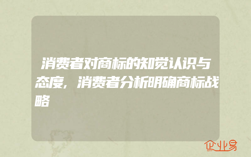 消费者对商标的知觉认识与态度,消费者分析明确商标战略