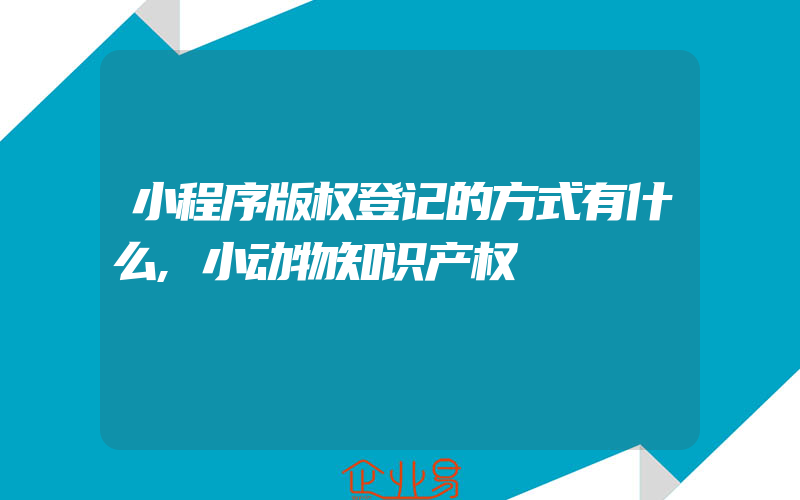 小程序版权登记的方式有什么,小动物知识产权