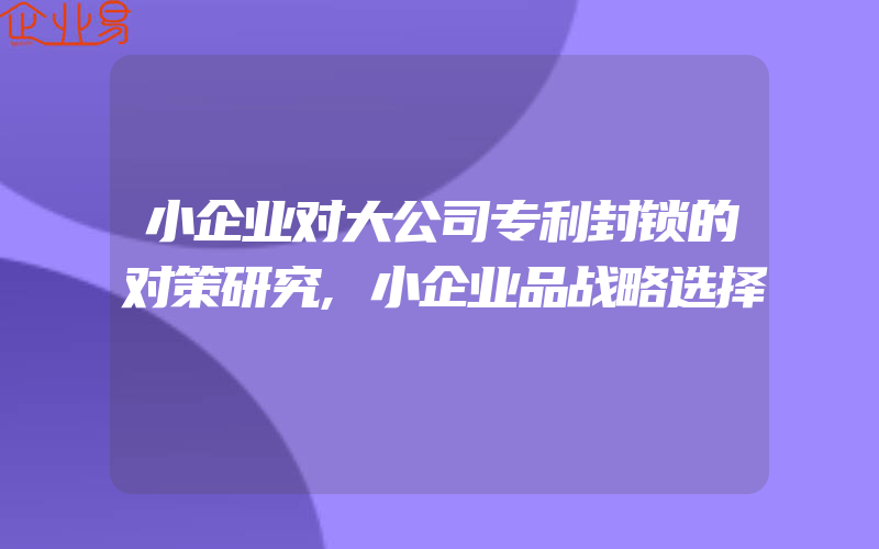 小企业对大公司专利封锁的对策研究,小企业品战略选择