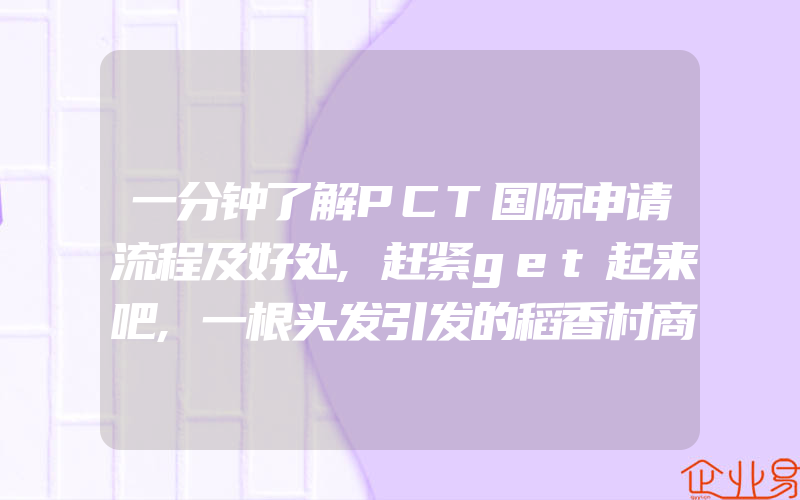 一分钟了解PCT国际申请流程及好处,赶紧get起来吧,一根头发引发的稻香村商标刑案(办理商标的流程)