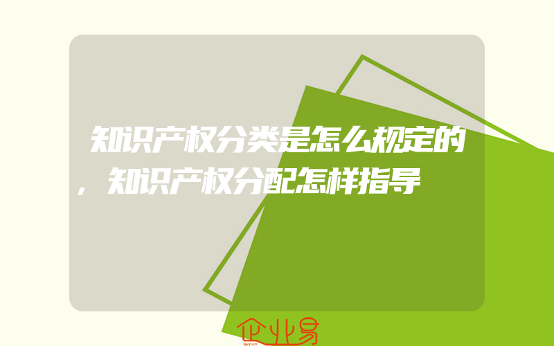 知识产权分类是怎么规定的,知识产权分配怎样指导