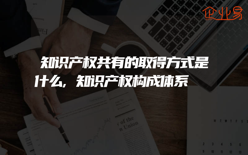 知识产权共有的取得方式是什么,知识产权构成体系