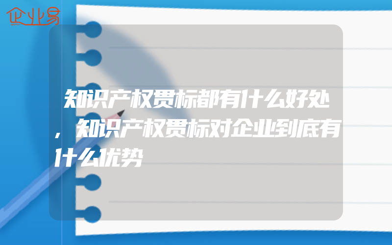 知识产权贯标都有什么好处,知识产权贯标对企业到底有什么优势