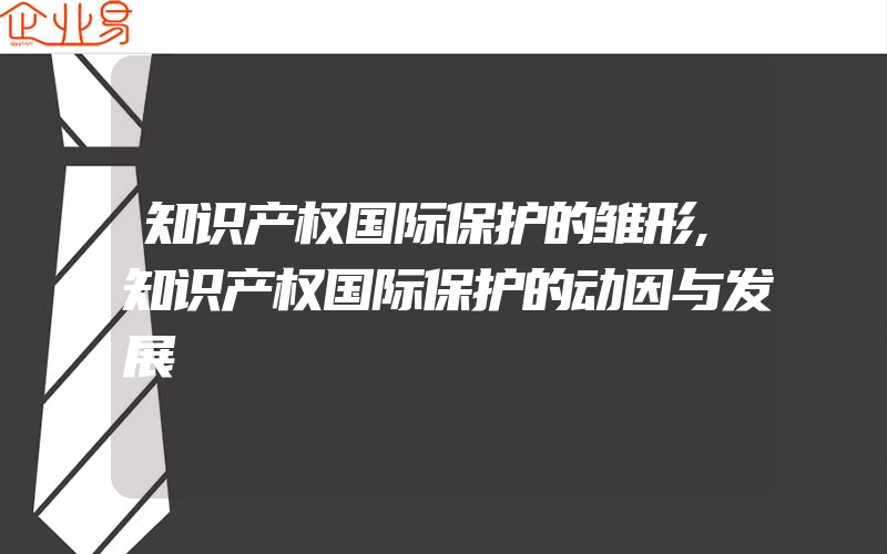 知识产权国际保护的雏形,知识产权国际保护的动因与发展