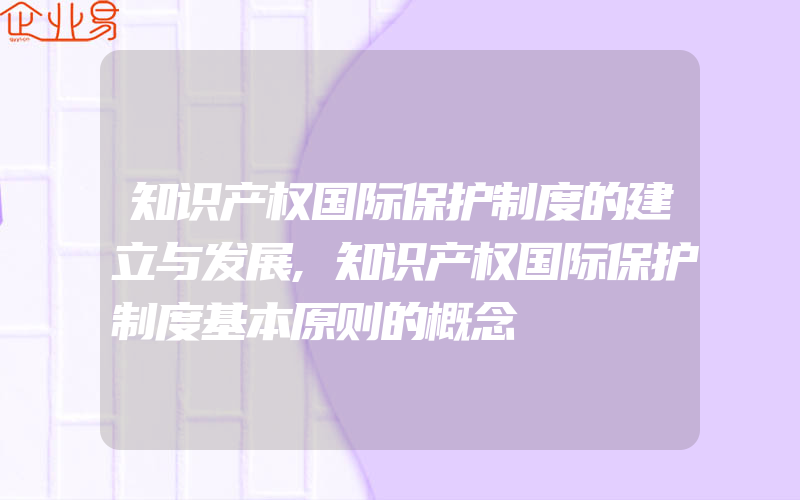 知识产权国际保护制度的建立与发展,知识产权国际保护制度基本原则的概念