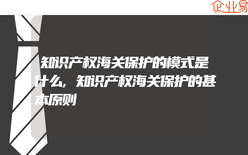 知识产权海关保护的模式是什么,知识产权海关保护的甚本原则