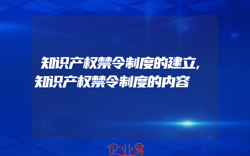 知识产权禁令制度的建立,知识产权禁令制度的内容