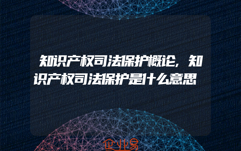 知识产权司法保护概论,知识产权司法保护是什么意思