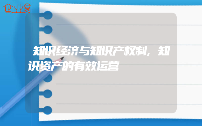 知识经济与知识产权制,知识资产的有效运营