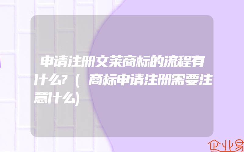 申请注册文莱商标的流程有什么?(商标申请注册需要注意什么)