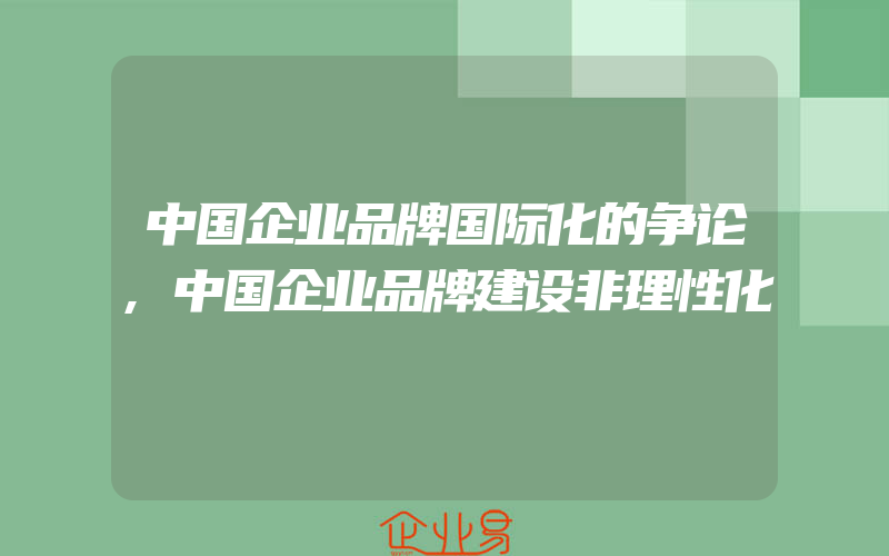 中国企业品牌国际化的争论,中国企业品牌建设非理性化