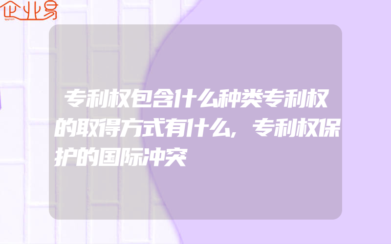 专利权包含什么种类专利权的取得方式有什么,专利权保护的国际冲突