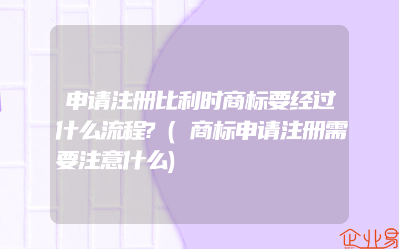 申请注册比利时商标要经过什么流程?(商标申请注册需要注意什么)