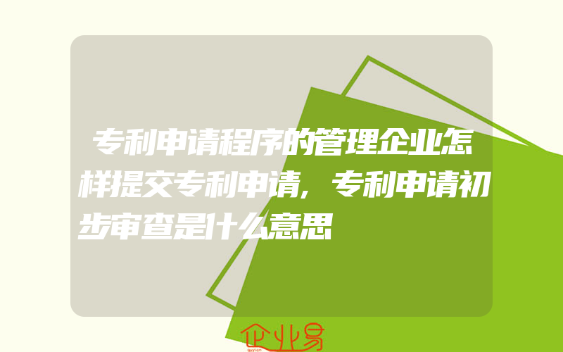 专利申请程序的管理企业怎样提交专利申请,专利申请初步审查是什么意思