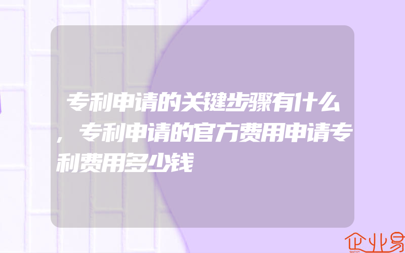 专利申请的关键步骤有什么,专利申请的官方费用申请专利费用多少钱