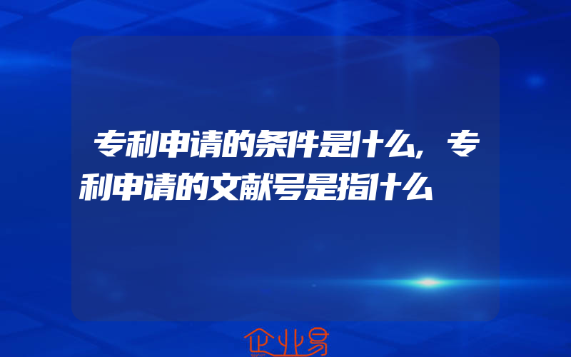 专利申请的条件是什么,专利申请的文献号是指什么