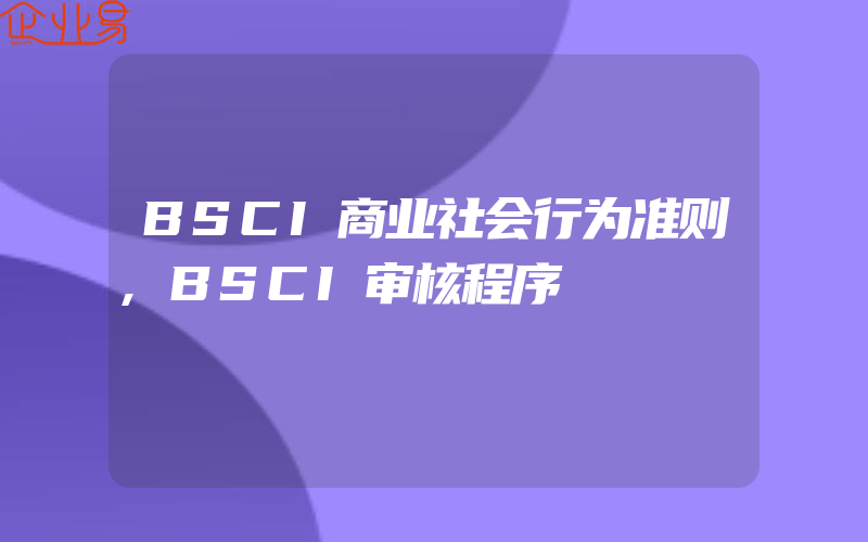 BSCI商业社会行为准则,BSCI审核程序