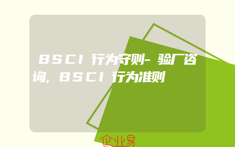 BSCI行为守则-验厂咨询,BSCI行为准则