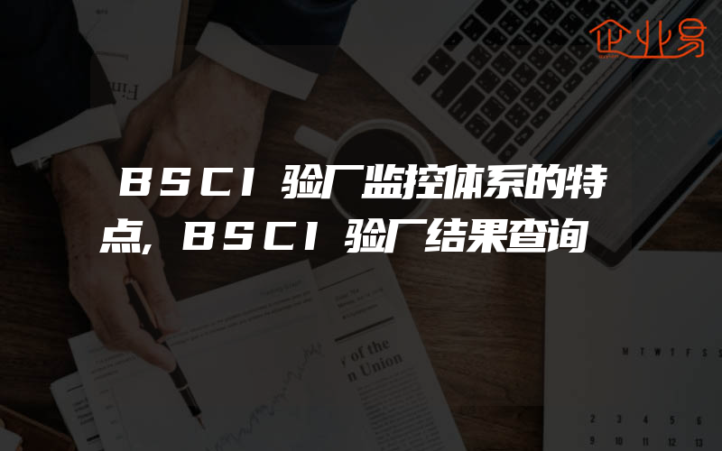 BSCI验厂监控体系的特点,BSCI验厂结果查询