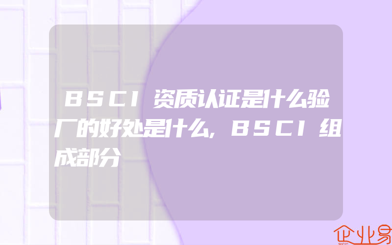 BSCI资质认证是什么验厂的好处是什么,BSCI组成部分