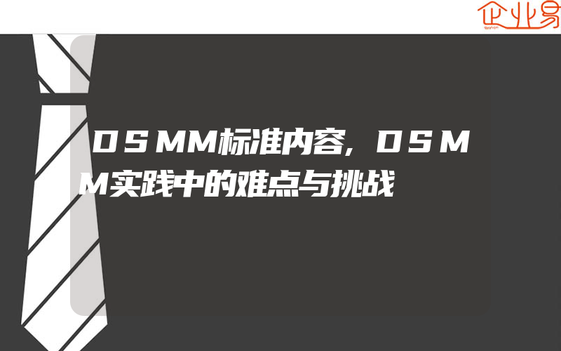 DSMM标准内容,DSMM实践中的难点与挑战