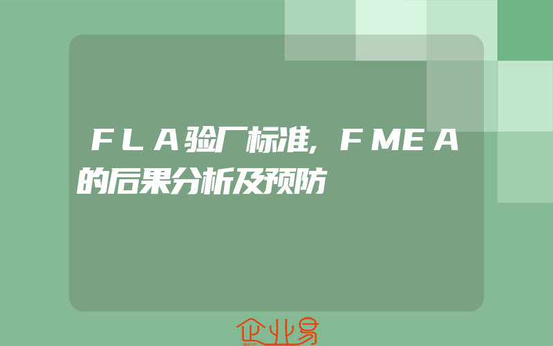 FLA验厂标准,FMEA的后果分析及预防