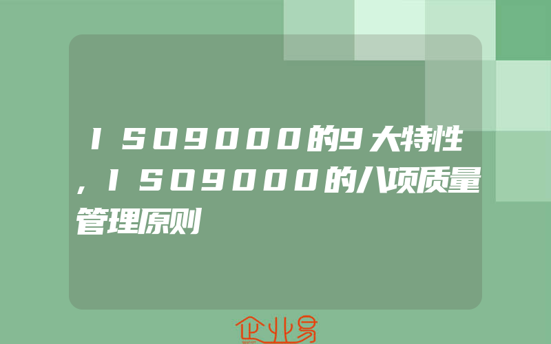 ISO9000的9大特性,ISO9000的八项质量管理原则