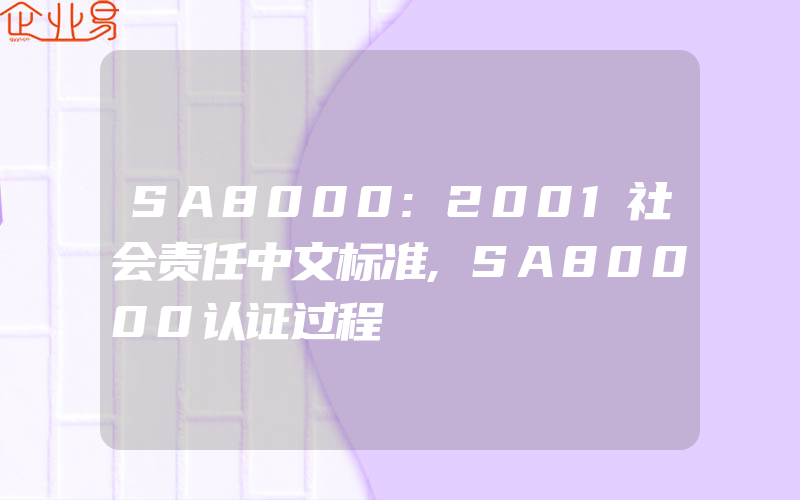 SA8000:2001社会责任中文标准,SA80000认证过程