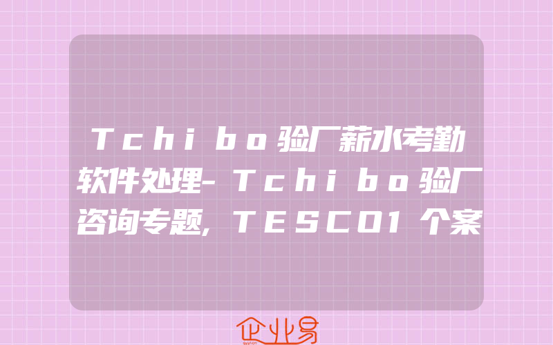 Tchibo验厂薪水考勤软件处理-Tchibo验厂咨询专题,TESCO1个案例
