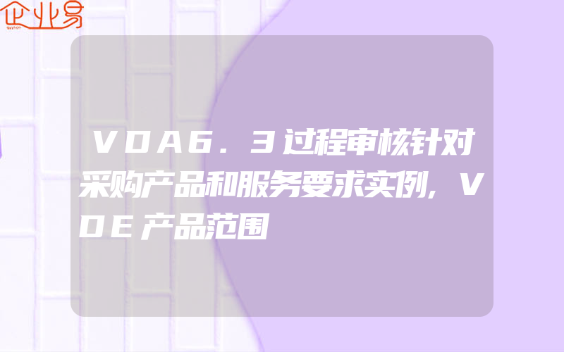 VDA6.3过程审核针对采购产品和服务要求实例,VDE产品范围