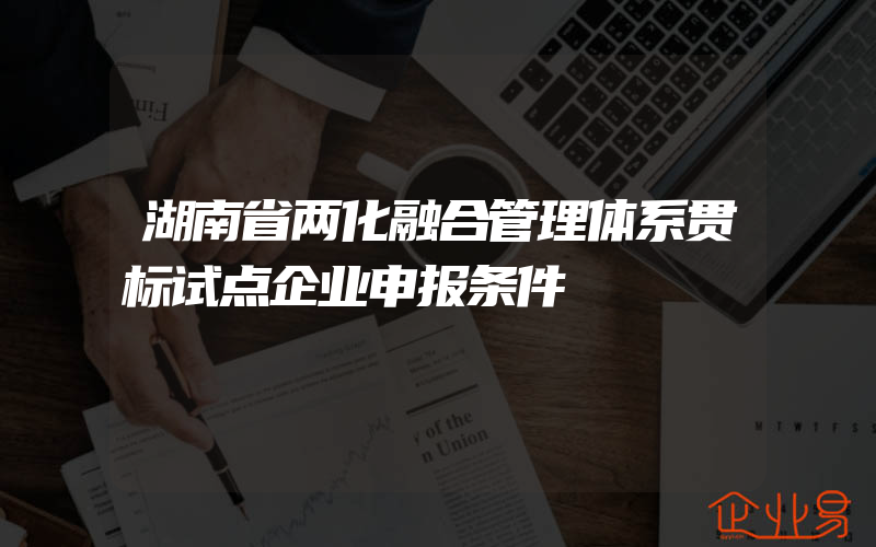 湖南省两化融合管理体系贯标试点企业申报条件