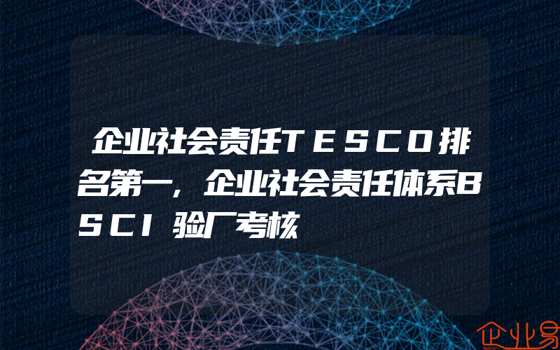 企业社会责任TESCO排名第一,企业社会责任体系BSCI验厂考核