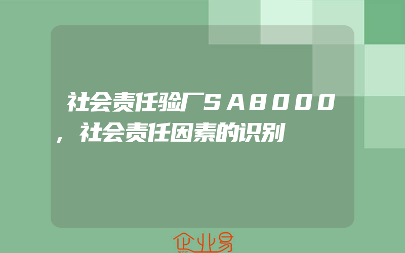 社会责任验厂SA8000,社会责任因素的识别