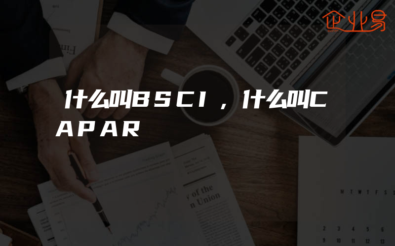 什么叫BSCI,什么叫CAPAR