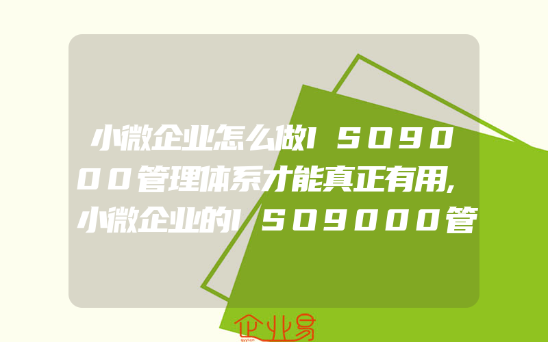 小微企业怎么做ISO9000管理体系才能真正有用,小微企业的ISO9000管理体系有什么解决的方案,小微企业职业安全健康管理关键问题与步骤