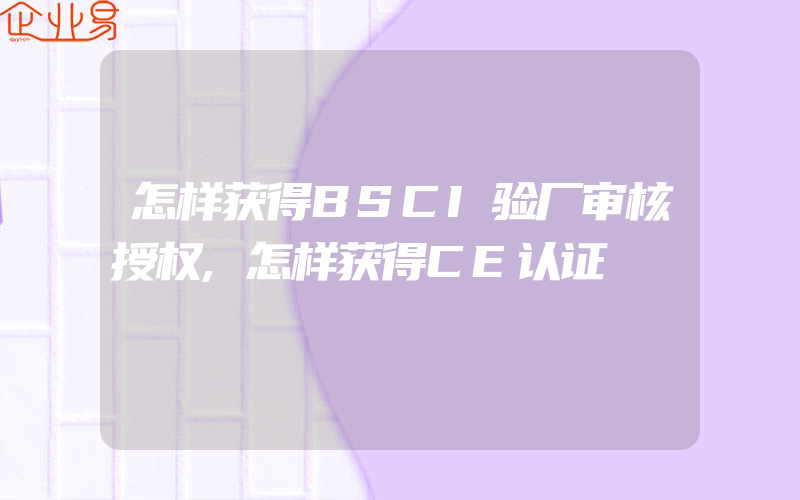 怎样获得BSCI验厂审核授权,怎样获得CE认证