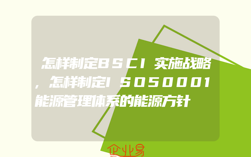 怎样制定BSCI实施战略,怎样制定ISO50001能源管理体系的能源方针