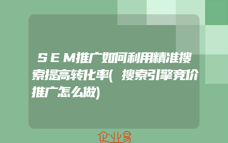 SEM推广如何利用精准搜索提高转化率(搜索引擎竞价推广怎么做)