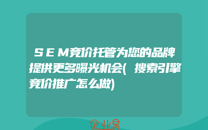 SEM竞价托管为您的品牌提供更多曝光机会(搜索引擎竞价推广怎么做)