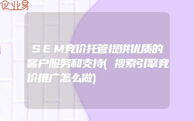 SEM竞价托管提供优质的客户服务和支持(搜索引擎竞价推广怎么做)