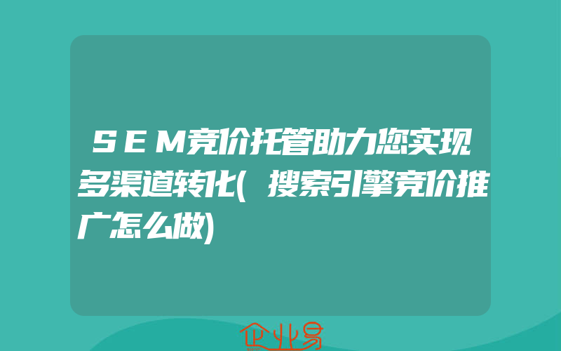 SEM竞价托管助力您实现多渠道转化(搜索引擎竞价推广怎么做)