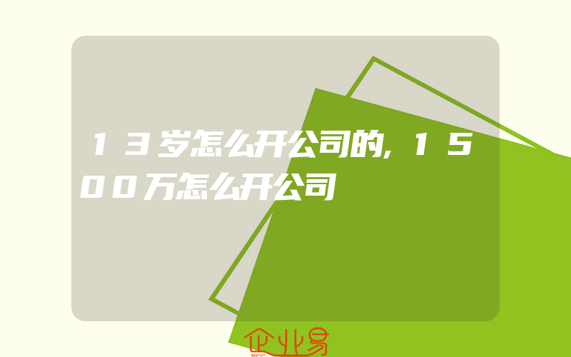 13岁怎么开公司的,1500万怎么开公司