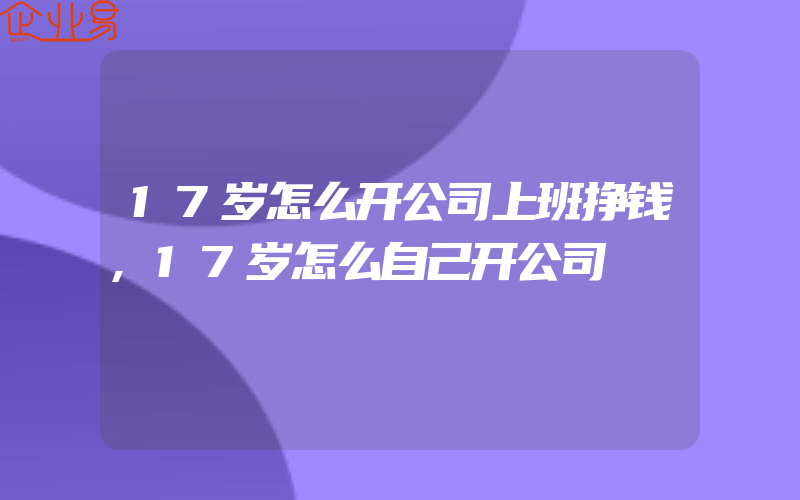 17岁怎么开公司上班挣钱,17岁怎么自己开公司