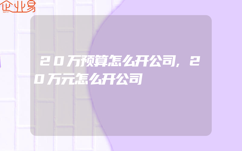 20万预算怎么开公司,20万元怎么开公司