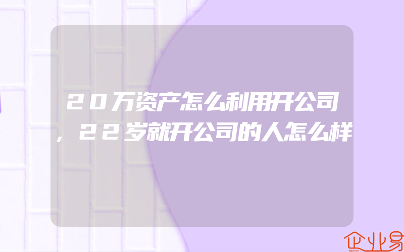 20万资产怎么利用开公司,22岁就开公司的人怎么样