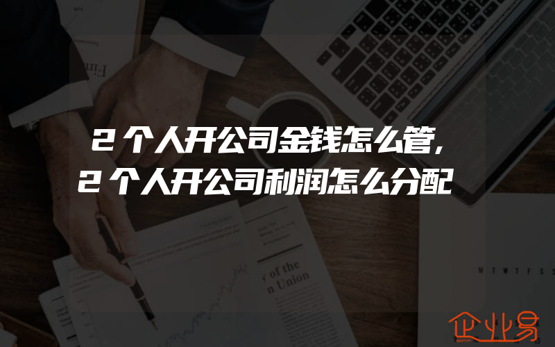 2个人开公司金钱怎么管,2个人开公司利润怎么分配